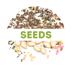 SEED SALE ON NOW! ALL SEED 0.99/PACKET (while supplies last)*